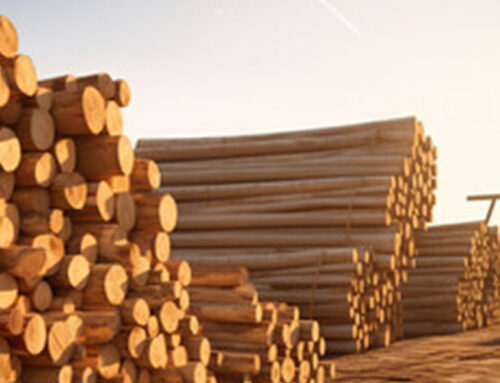 SOFTWOOD LUMBER